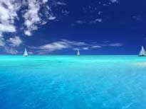 讓客戶接受“高價格”的實用技巧!